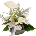 Arrangement of Cut Flowers
