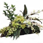 Arrangement of Orchids